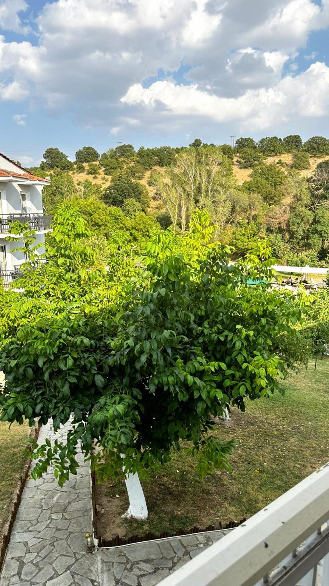 Tselikas Hotel Kozani Phòng bức ảnh